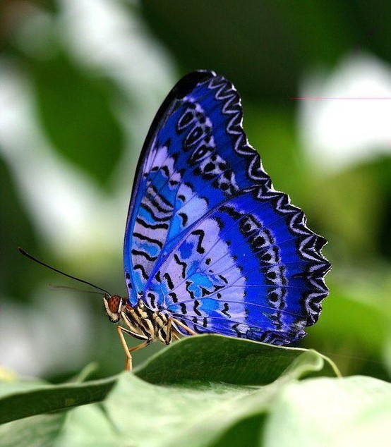 Photo:  Shades of blue